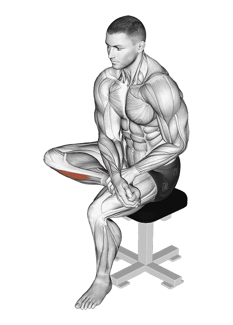 Seated Toe Flexor And Foot Everter Stretch demonstration