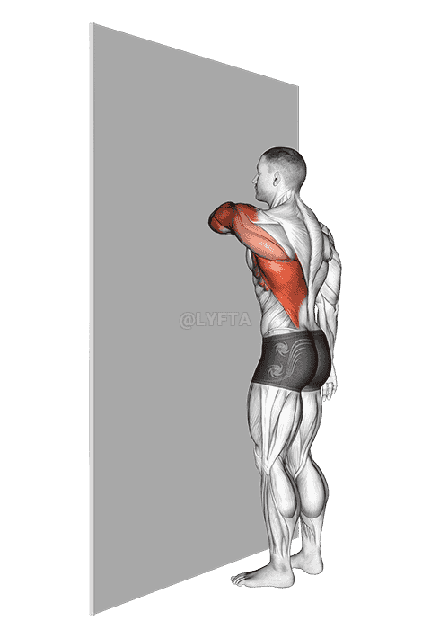 Shoulder Extensor Adductor And Retractor Stretch demonstration