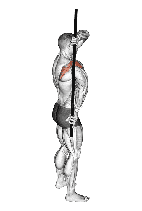 Arm Down Rotator Stretch demonstration