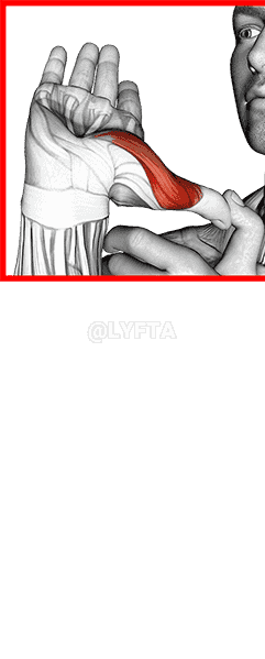 Thumb Stretch demonstration