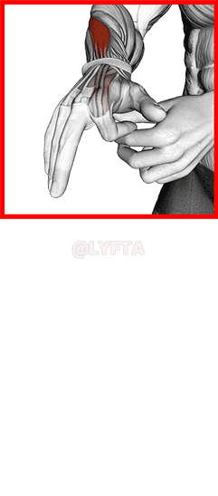 Flexion Finger Stretch demonstration