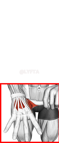 Separation Finger Stretch demonstration