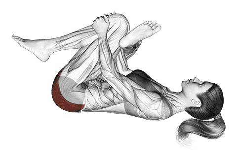 Recumbent Hip External Rotator And Hip Extensor Stretch demonstration