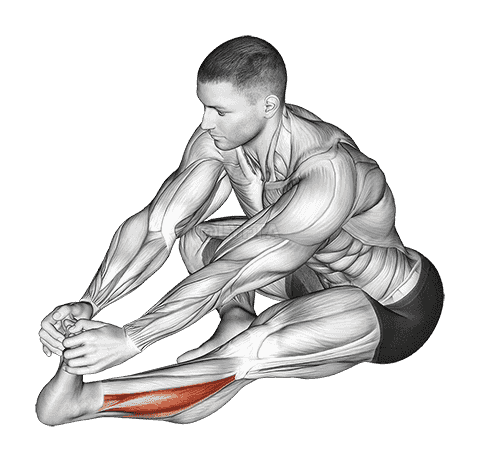 Sitting Toe Pull Calf Stretch demonstration