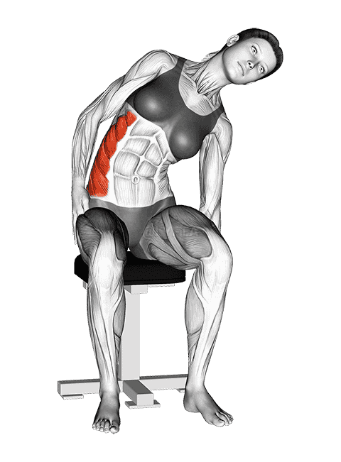 Sitting Lateral Side Stretch demonstration