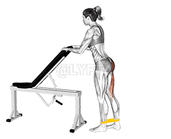 undefined demonstration