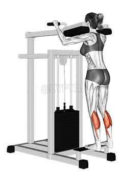undefined demonstration