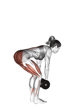 undefined demonstration