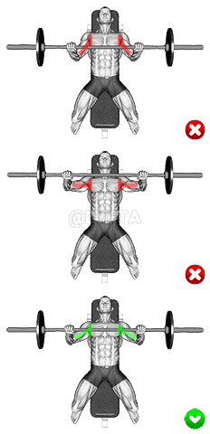 Chest Bench Press - Elbows demonstration