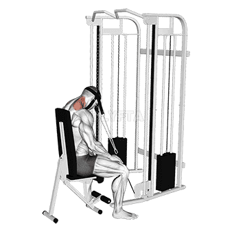 undefined demonstration