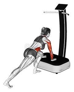 Vibrate Plate Plank demonstration