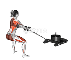 Power Sled Pull Row demonstration