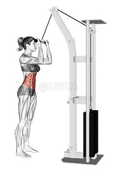Cable Standing Crunch demonstration