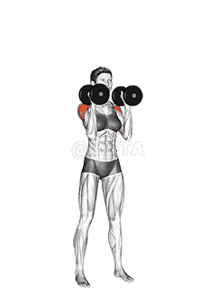 Dumbbell Standing Palms In Press demonstration