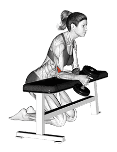Dumbbell Over Bench One Arm  Neutral Wrist Curl demonstration