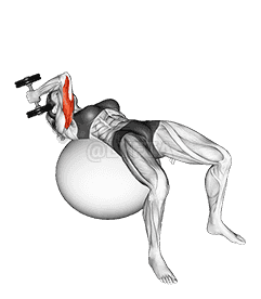 Dumbbell One Arm French Press on Exercise Ball demonstration