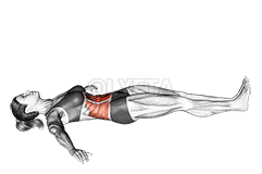 Hip Raise demonstration