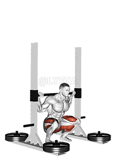 StrongMan Squats with Platform demonstration