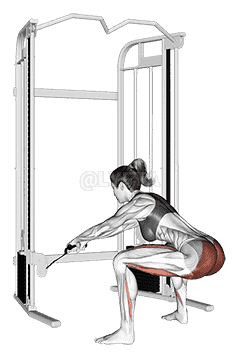 Cable Standing Hip Thrust demonstration
