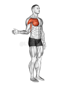 Shoulder - Medial Rotation demonstration