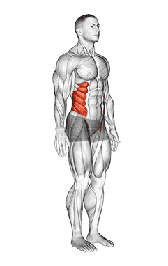 Spine demonstration