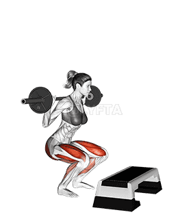 Barbell Squat Jump Step Rear Lunge demonstration