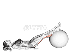 Exercise Ball One Legged Diagonal Kick Hamstring Curl demonstration