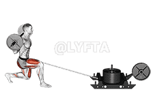 undefined demonstration