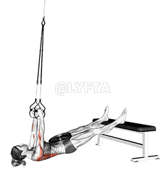 undefined demonstration