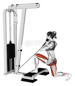 undefined demonstration