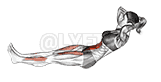 undefined demonstration
