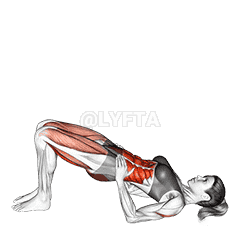 Shoulder Bridge demonstration