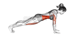 Leg Pull Front Supported demonstration