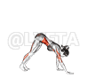 undefined demonstration
