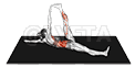 undefined demonstration