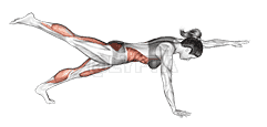 Front Plank with Arm and Leg Lift demonstration