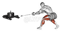 undefined demonstration