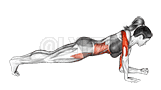 undefined demonstration