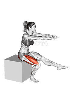 Pistol Squat to Box demonstration