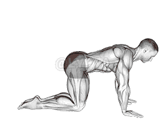 undefined demonstration