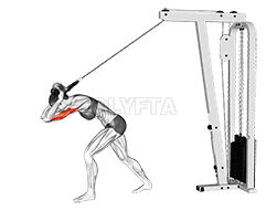 undefined demonstration