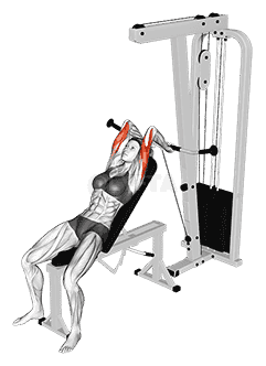 undefined demonstration