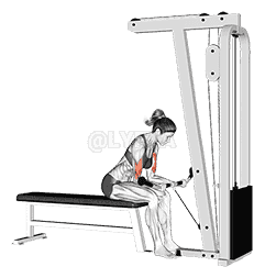 undefined demonstration