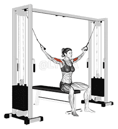 undefined demonstration