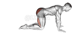 Straight Leg Kickback demonstration