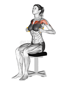 Resistance Band Seated Chest Press demonstration