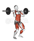 Barbell Hang Clean Below the Knees demonstration