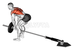 undefined demonstration