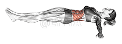 undefined demonstration