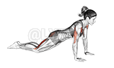 undefined demonstration